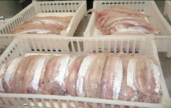 Prohíben la venta de pescado congelado en un hipermercado Prohíben la venta de pescado congelado en un hipermercado