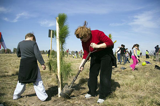 Este sábado se festeja el Día del Árbol con distintas propuestas en “La Máxima